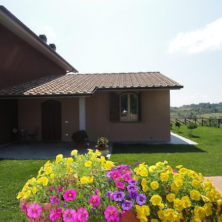 Poggio Novello Lägenhet Peccioli Exteriör bild